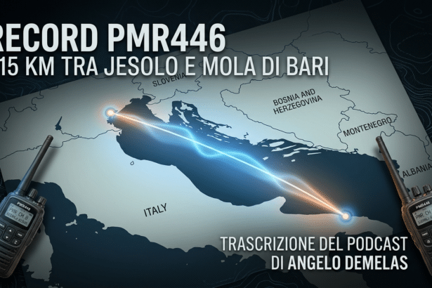 Collegamento Record PMR446